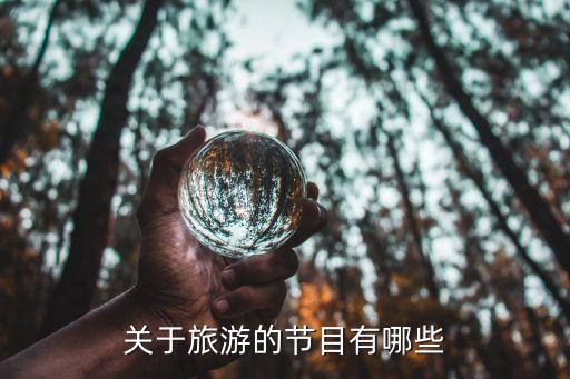 國外旅游的綜藝節目有哪些，求介紹國外的旅游節目...